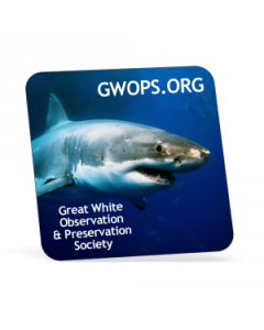 Round Corner Square 3x3 - Static Cling