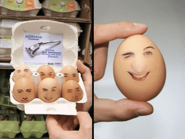 Wilkinson Eggs